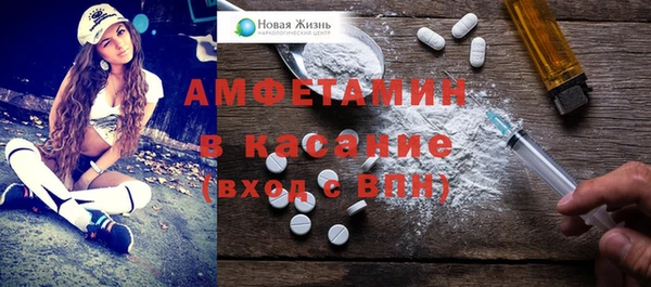 шишки Аркадак