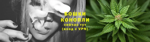 шишки Аркадак