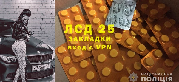 шишки Аркадак
