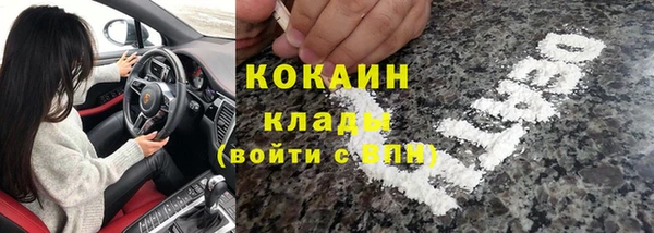 шишки Аркадак