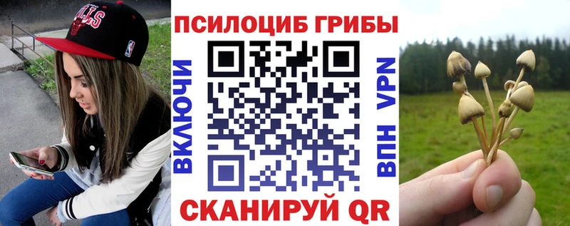 где можно купить наркотик  Выкса  Галлюциногенные грибы Magic Shrooms 