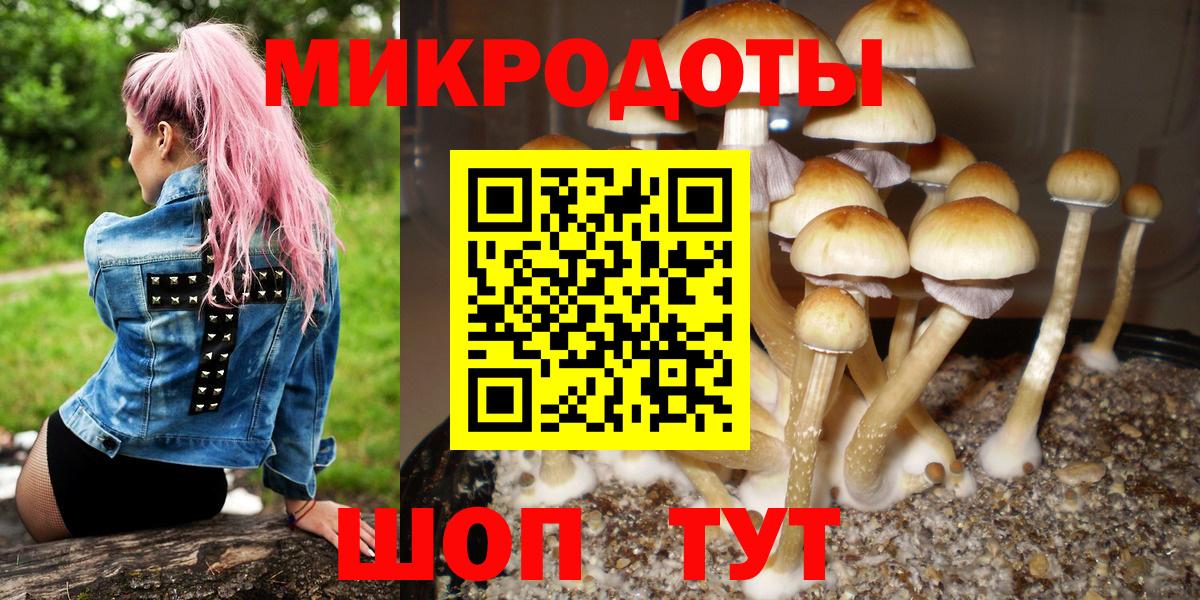 Выкса  Галлюциногенные грибы GOLDEN TEACHER  Вход с VPN 
